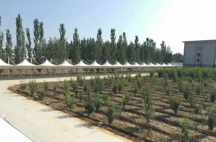 ���ͺ����ٹ���Ĥ�Y(ji��)��(g��u)܇��